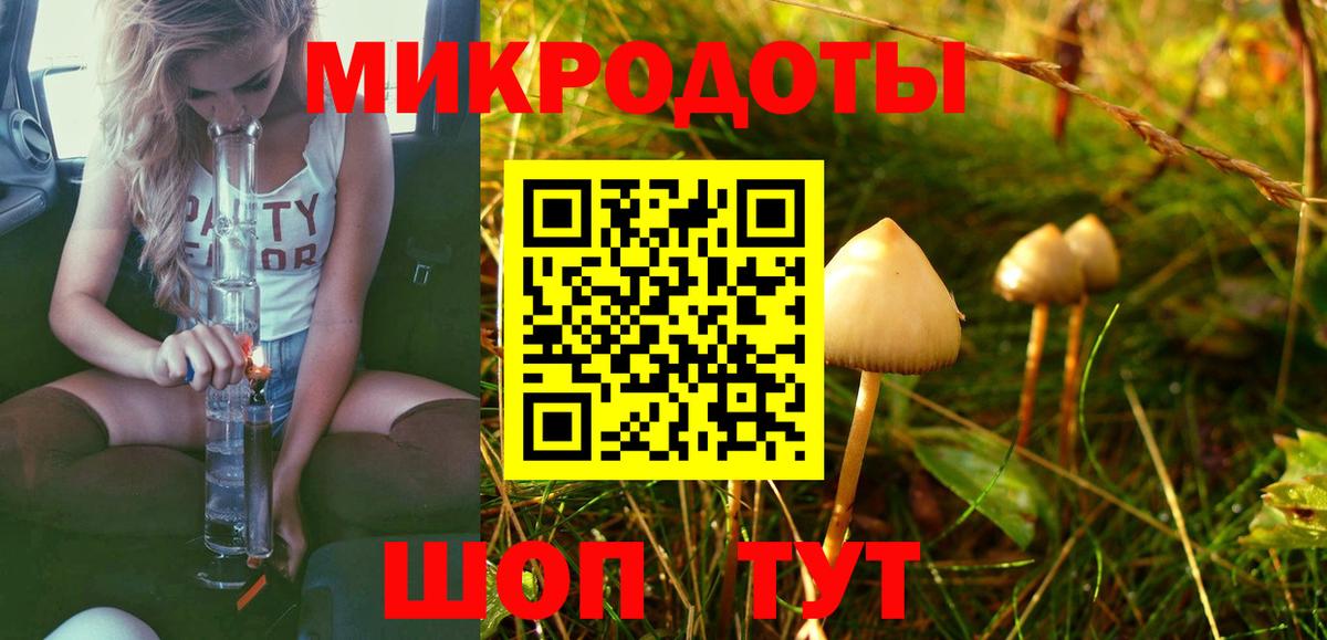 Протвино  Галлюциногенные грибы Psilocybine cubensis  Псилоцибиновые грибы Psilocybine cubensis  Вход с VPN 