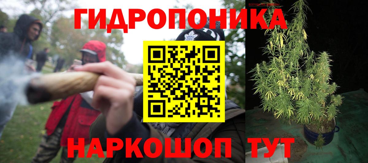 МАРИХУАНА сатива Протвино